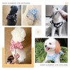 BAEJMJK Dog Harness and Leash Set with Bow Knot No