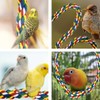 Bird Bungee Climbing Swing - Colorful Parakeet Rope Perch (23.6