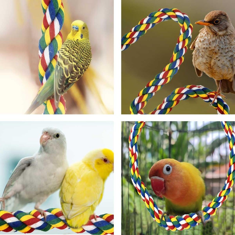 Bird Bungee Climbing Swing - Colorful Parakeet Rope Perch (23.6