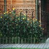 Skcoipsra Decorative Garden Fence 15 Pack, 37.5in(H) x 16ft(L) Animal