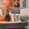 Fall Decor Hello Fall Wooden Sign Farmhouse Autumn Gnome Decorations