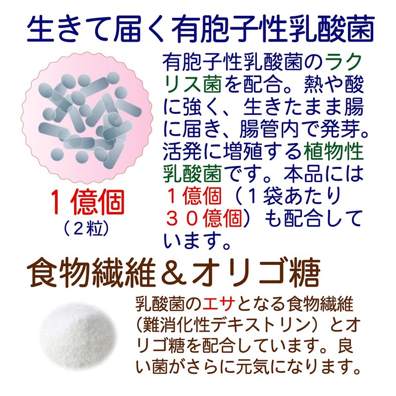 未来菌 乳酸菌 サプリ ビフィズス菌 30種類 5兆個 30日分 有胞子性乳酸菌 オリゴ糖 食物繊維