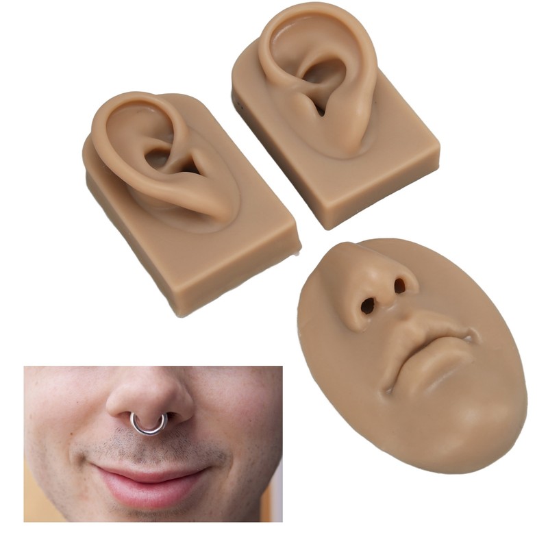 3D Nose and Mouth Model Silicone Ear Model Simulation Display