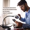 Brightech LightView Pro Flex Magnifying Lamp - 2 in 1