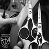 3 Swords Germany – Professional Beard Hair Scissors, Stainless Steel,