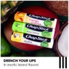 ChapStick Summer Vibes Collection – Tropical Paradise, Mocktail, and I