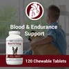 Vet Classics Blood & Energy Support for Dogs, Supports Endurance