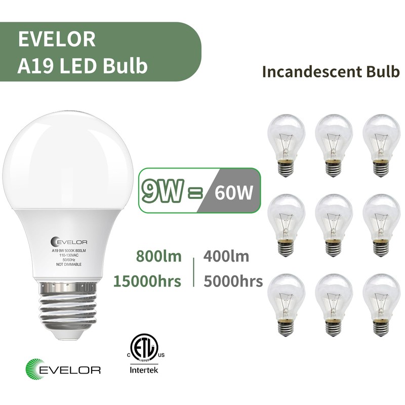 evelor A19 LED Light Bulbs,60 Watt Equivalent Daylight 5000K with
