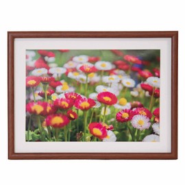 FUJICOLOR 407932 Wood Frame M21 A4 Brown