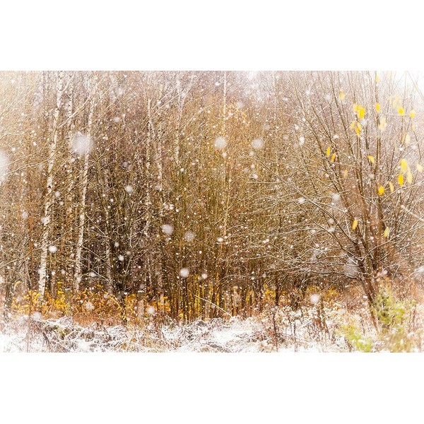 First Snowflakes Poster Print - Rainbow Fine Jenny (36 x