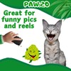 My Name is Bud Jr, Funny Catnip Weed Nug Cat