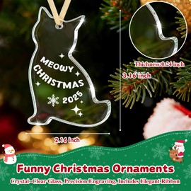 Sensi Blue Cat Christmas Ornament 2025, Glass Meowy Christmas Tree Decoration, Funny Cat Lover Gifts for Women Men Vet Tech, Kitten Silhouette Bauble, New Pet Owner Mom Dad Keepsake, Stocking Stuffer