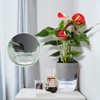 Vanavazon 6 Inch Self Watering Planter Pots for Indoor Plants,