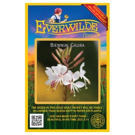 Everwilde Farms - 50 Biennial Gaura Native Wildflower Seeds - Gold Vault Seed Packet
