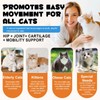 Cat Hip + Joint Health Crunchy & Creamy Chews, Joint