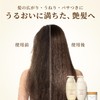 Wanomi Hair Recipe Wanomi, Moisturizing Treatment, Pump, 12.3 oz (350