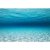 MIRRORANG 180x46cm Undersea Theme Aquarium Background Blue Ocean Underwater World