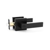 Tinewa 1 Pack Matte Black Door Handle Interior Privacy Door