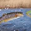 ZOKBOM 6 Pieces Artificial Lures for Bass Chatterbait Pike Chatterbait