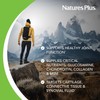 Glucosamine Chondroiton MSM Ultra Rx – Naturaleza Plus – 30