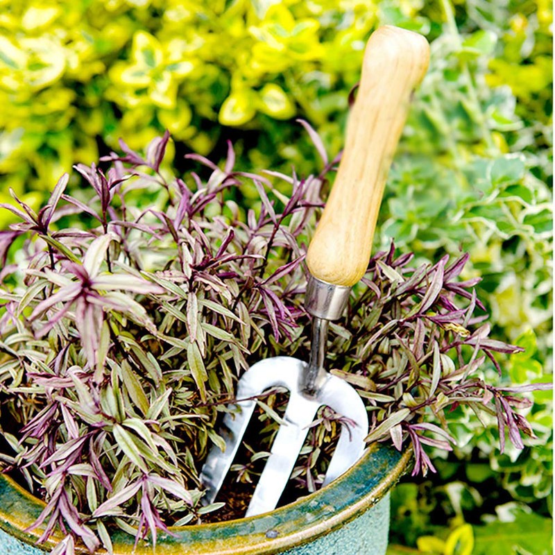 Stainless Steel Digging Fork,Hand Fork with Wood Handle,Cultivator Gardening Tools,Polishing