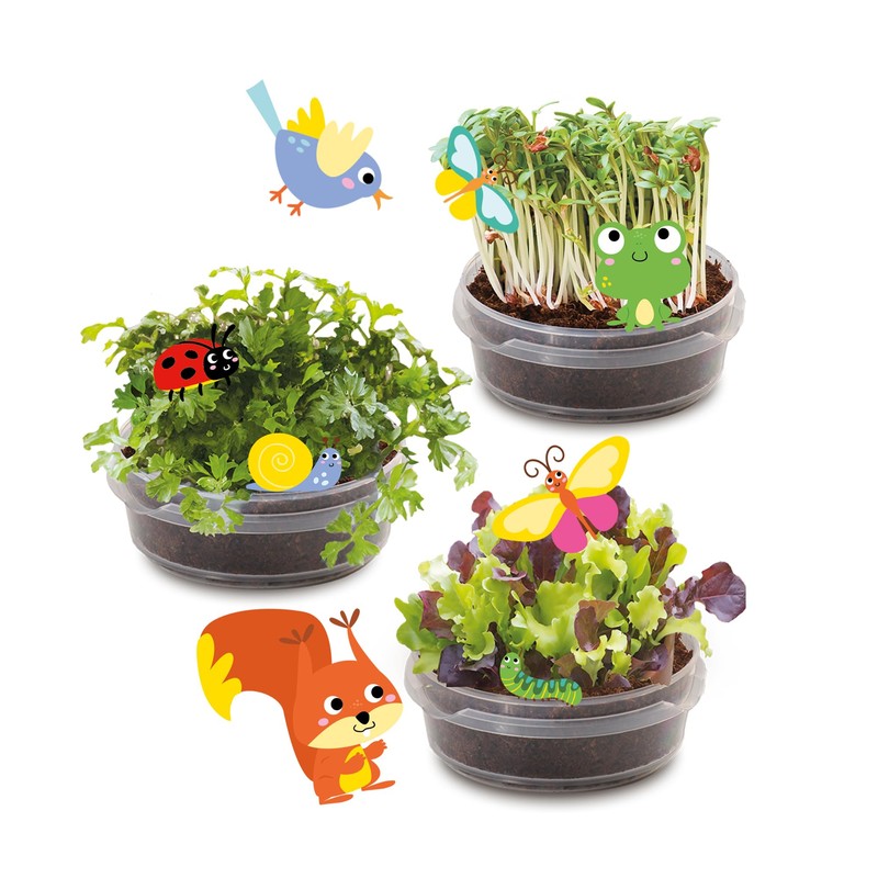 SES Creative 25202 - Wooden Treehouse Growing Kit - Grow