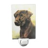 Chocolate Labrador Retriever Night Light