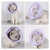 Cat Cone Collar Soft to Stop Licking and Scratching Adjustable