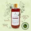 Shampoo Sangre De Grado Romero Y Sábila 1000 Ml Natural