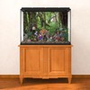MIRRORANG 180x61cm Tropical Forest Terrarium Background Green Huge Tree Reptile