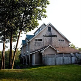 Michel Design Works Michel Design Works Foaming Hand Soap 16.9oz, Alpine Scent and Design, Shea Butter and Aloe Vera Blend, Beautiful Container with Pump