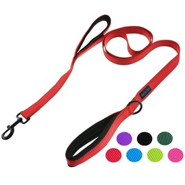 Wagtime Club Soft &Thick Dual Handle 6FT Dog Leash, Premium Nylon Double Padded Handles for Medium, Large or XLarge Dog (Reflective Carnation Red)