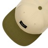 Reell Pitchout Cap, Oatmeal / Olive