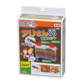 Observation set entirely Ali's