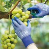 [Towa Corporation] MagneX 7/S Nitrile Backless Gloves / Food Sanitation