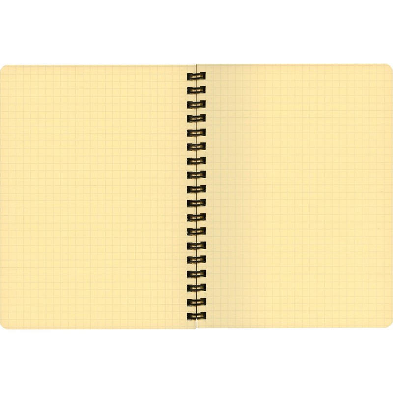 Delfonics Rollbahn Pocket Memo, Large, yelow