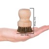 Redecker 750608 Portafilter Brush 5.5 cm Beech Wood & Horsehair
