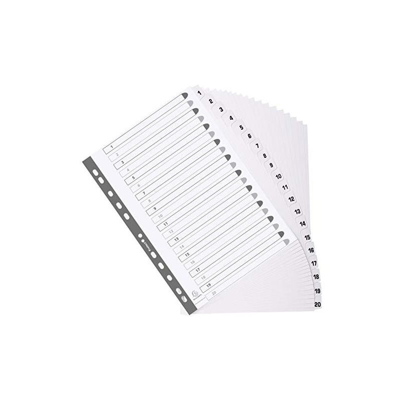 Exacompta - Ref MWD1-20Z - Mylar Printed Indices - For