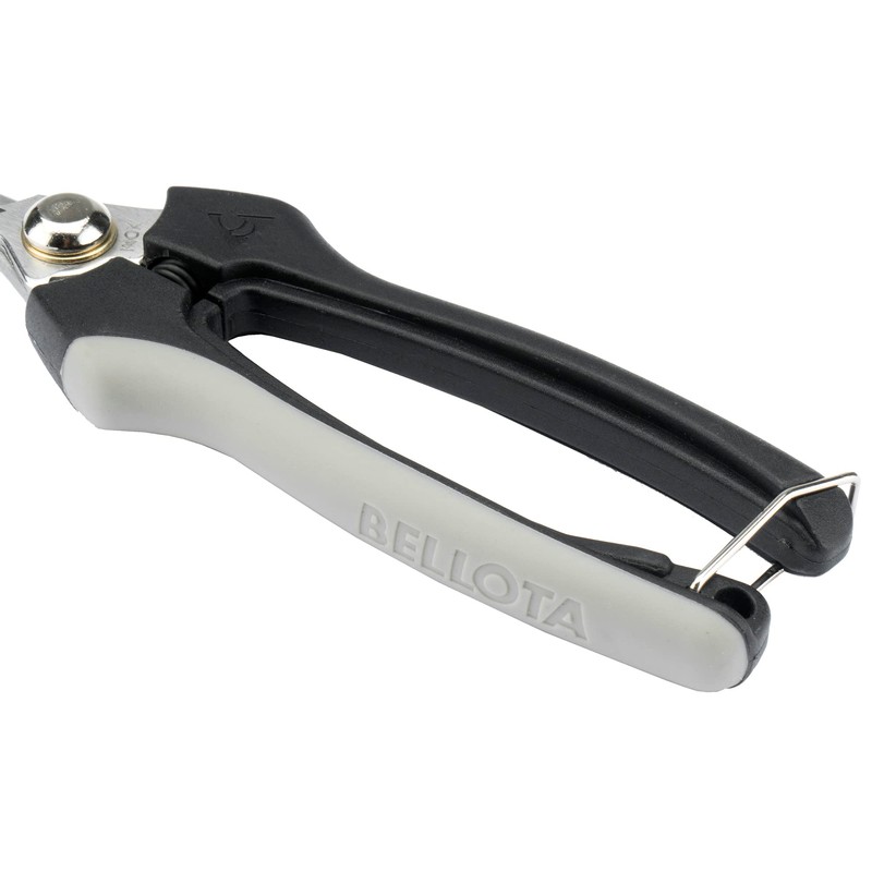 BELLOTA 3621 inox-ce MB – Scissors recolectora