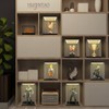 Acrylic Display Case / Display Case for Model Cars, Figures,