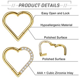 Dochais 2-3 Pieces Nose Ring Titanium, Nose Rings Nose Piercing, Hoop Nose Ring, Septum Rings, Helix Ring Set, Daith Ring, Hoop Earrings Septum, Nose Ring Heart for Women Silver Gold Black 16G 10 mm,