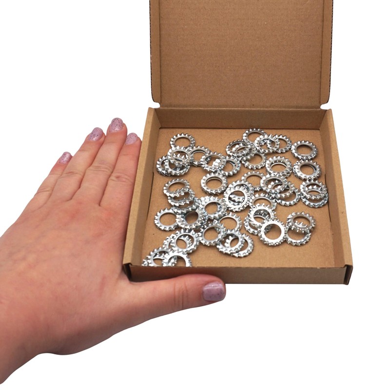 SKIR'CO (Pack of 50) Galvanised Flap Washers M10 External Locking