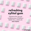 XyloBurst Gum | Xylitol Chewing Gum | Sugar Free, Gluten