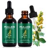 2 Pack Mullein Drops for Lungs, Mullein Leaf Extract with