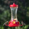 Perky-Pet 476 Glass 20-Ounce Hummingbird Feeder