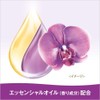 LUX Body Soap, Musky Floral Refill, 10.6 oz (300 g)