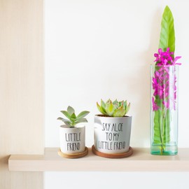 Lasimfa Funny Succulents Plant Pots, Set of 2, Small Ceramic Cactus Planter Pot for Indoor Outdoor, Cute Garden Succulent Pot with Bamboo Tray, Fun Pots for Plant Lover Friends Housewarming Gift