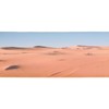Aquarium Poster PVC Self Adhesive Waterproof 3D Desert Style Fish