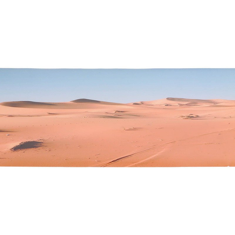 Aquarium Poster PVC Self Adhesive Waterproof 3D Desert Style Fish