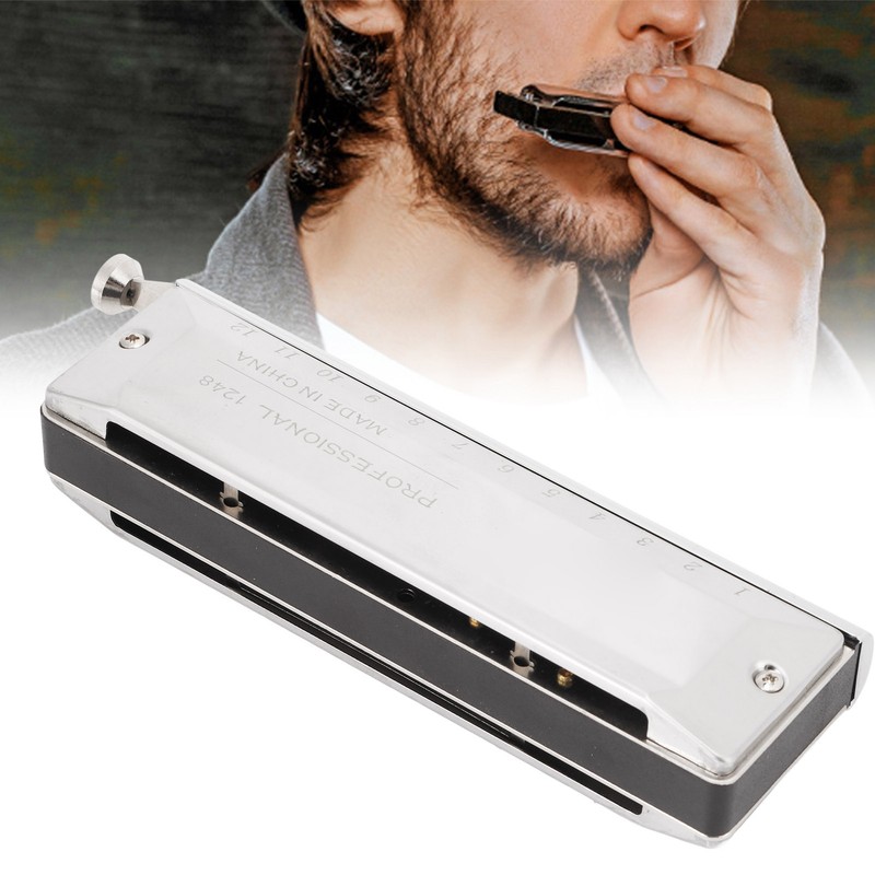 Chromatic Harmonica Metal 12 Holes 48 Tones Mouth Organ Harmonicas